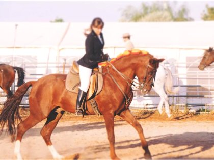 Cursos Homologados de cursos/caballos/badajoz cp6 660