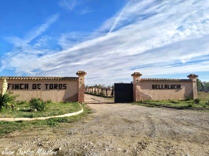 Agroanuncios Es Fincas Ganaderas Fincas Ganaderas En Madrid Fincas Rusticas Fincas Rusticas En En Madrid Venta De Fincas Rusticas Venta De Fincas Rusticas En Madrid