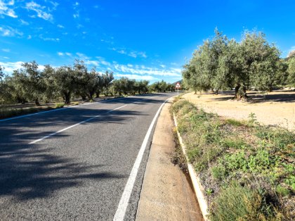 Finca rústica de olivar en Mas de Barberans - Tarragona